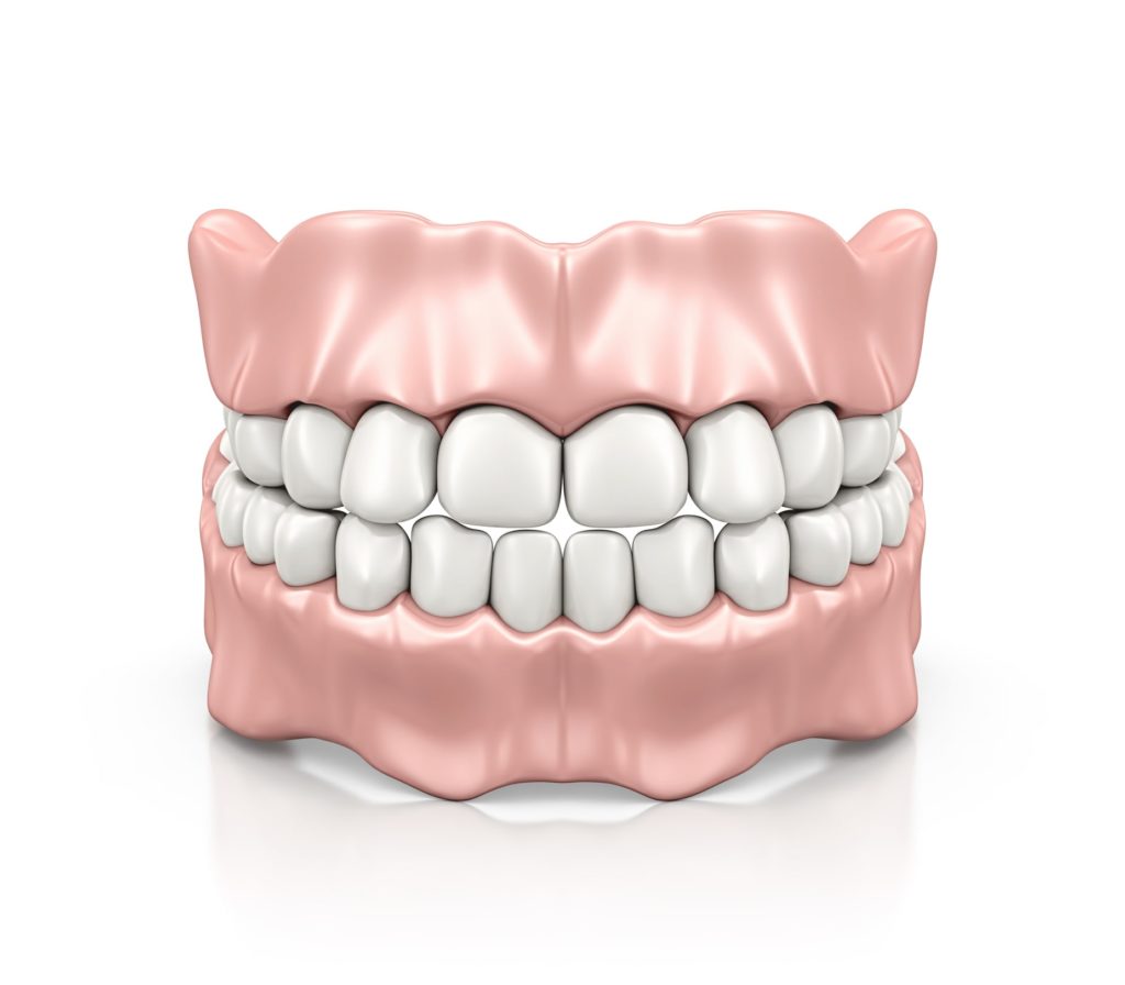 Dentures model including gums and teeth from capital dental in lincoln nebraska